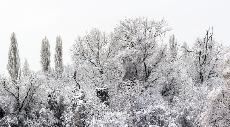 Снежна Приказка в София фото превью