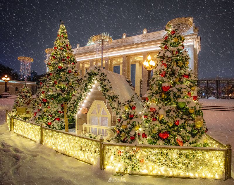 Сказочный лес фото превью