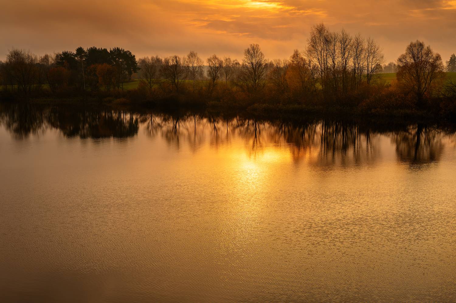 , Павел Тимошенко