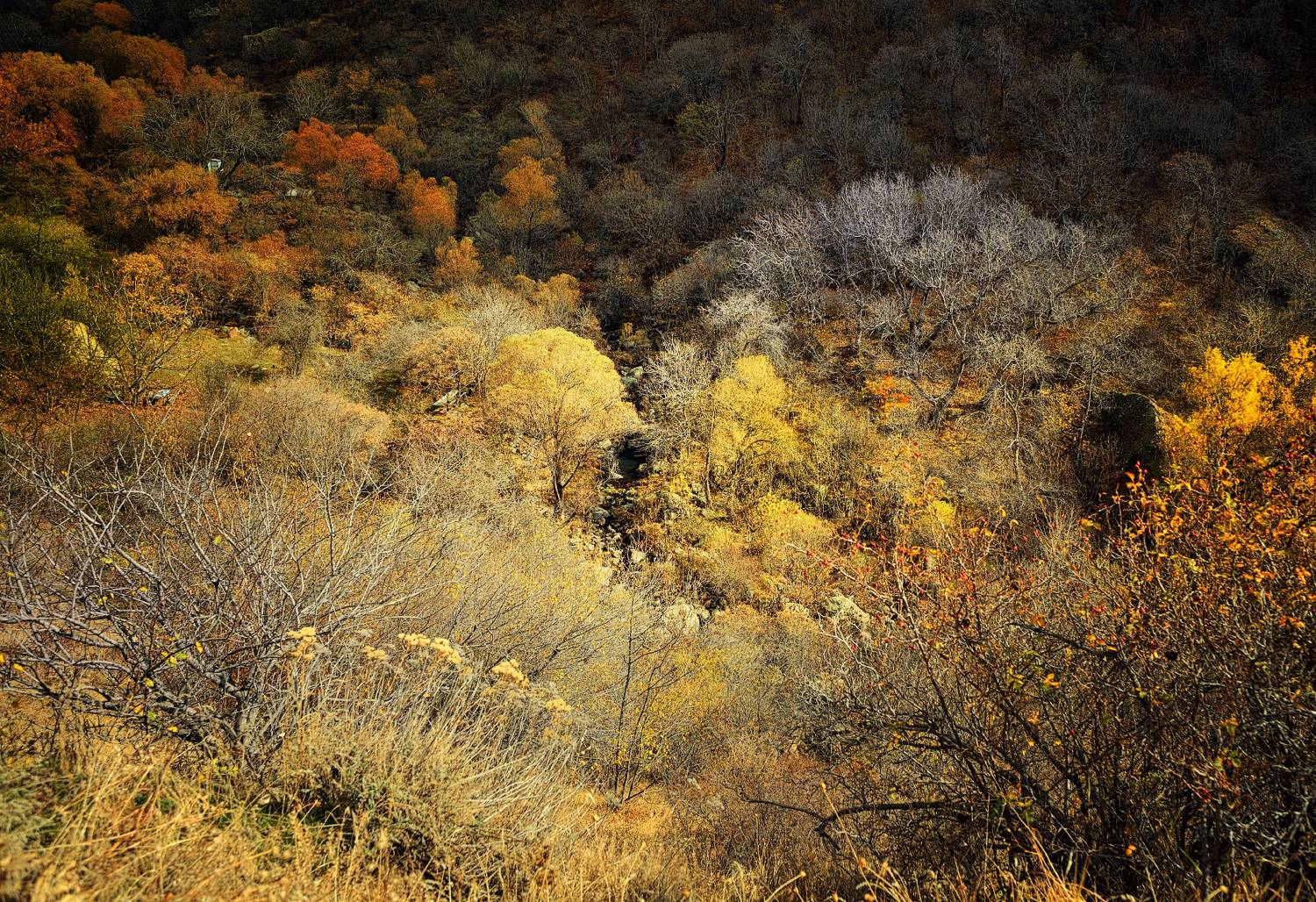 армения, горы, ноябрь, Olga N.