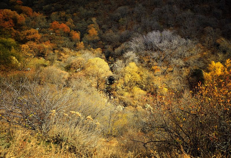 армения, горы, ноябрь  фото превью