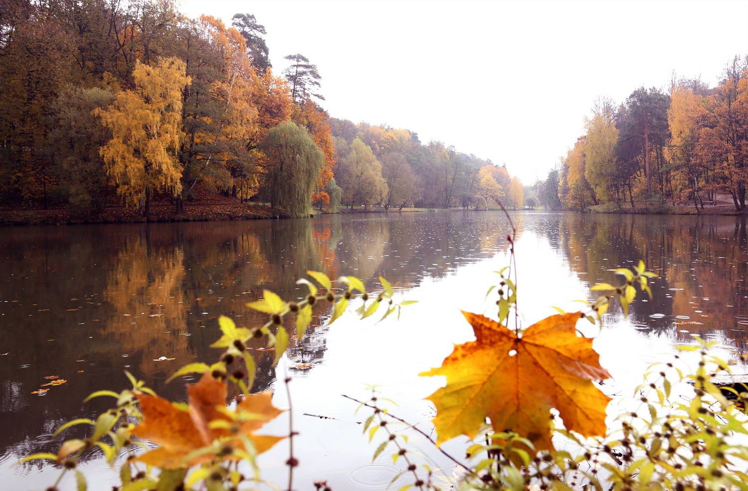 , Бибичков Михаил