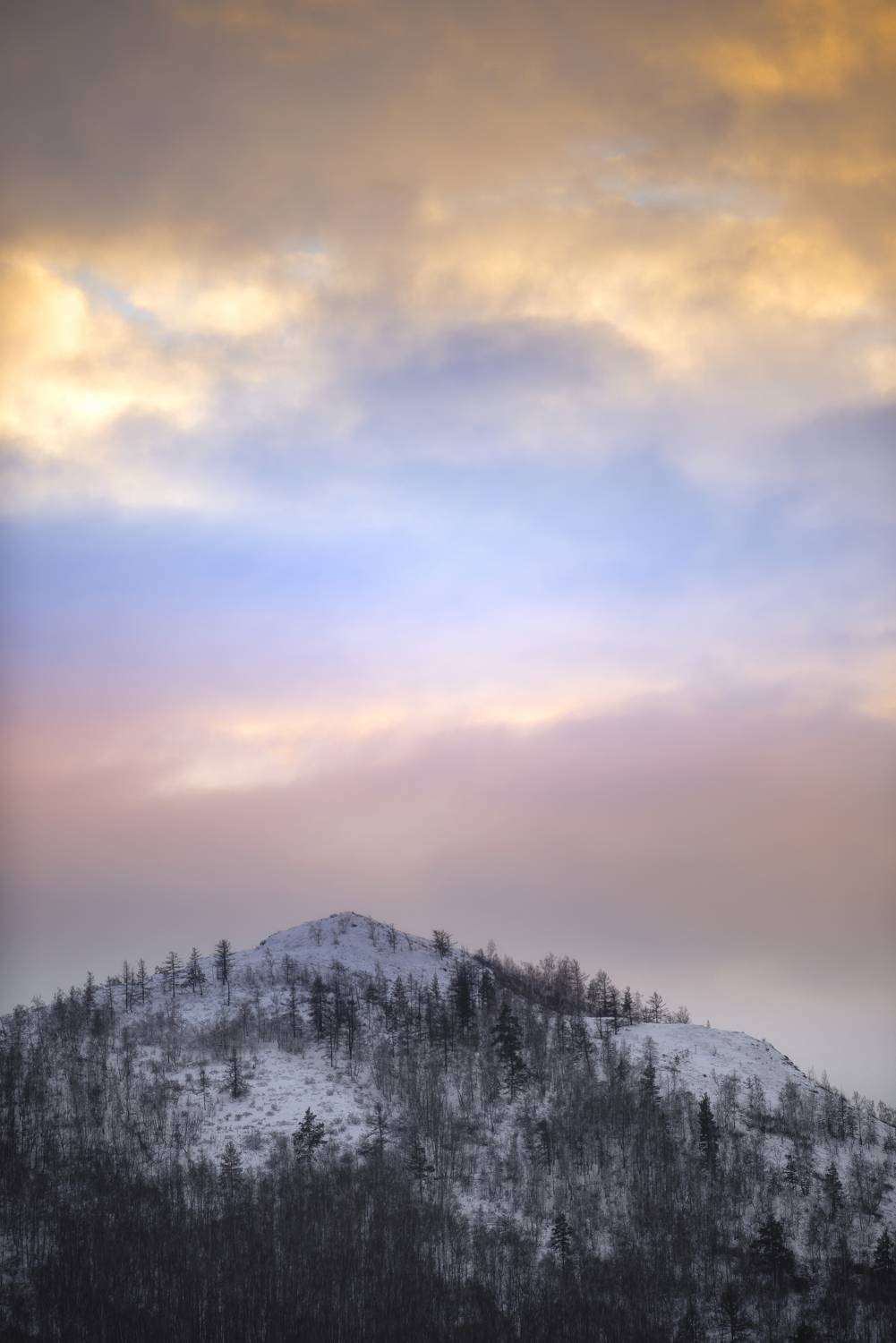 , Антонов Антон