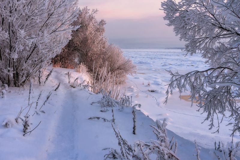 зима, декабрь, иней, снег, мороз, деревья, тропинка, берег, река, северная, двина, архангельск Утром у реки фото превью