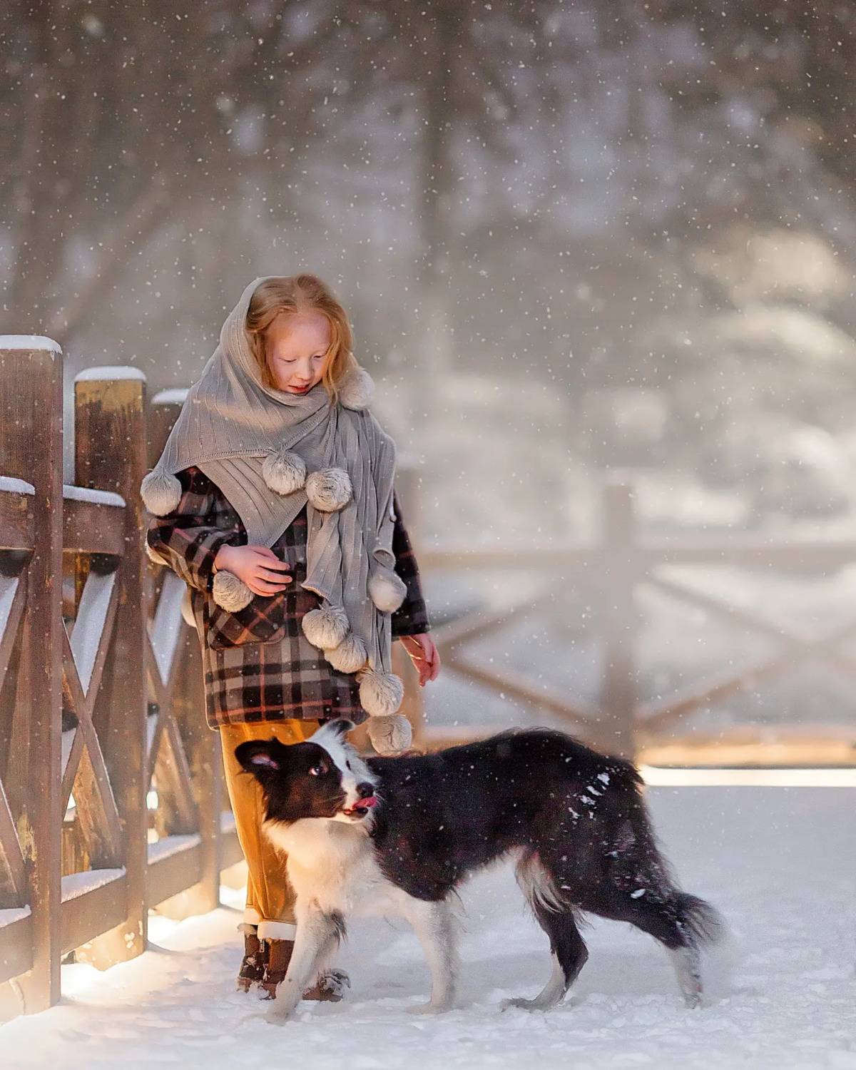 yao wenqi,  姚文琦