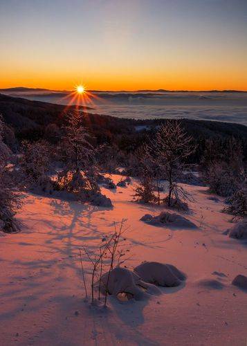 Warmth in cold