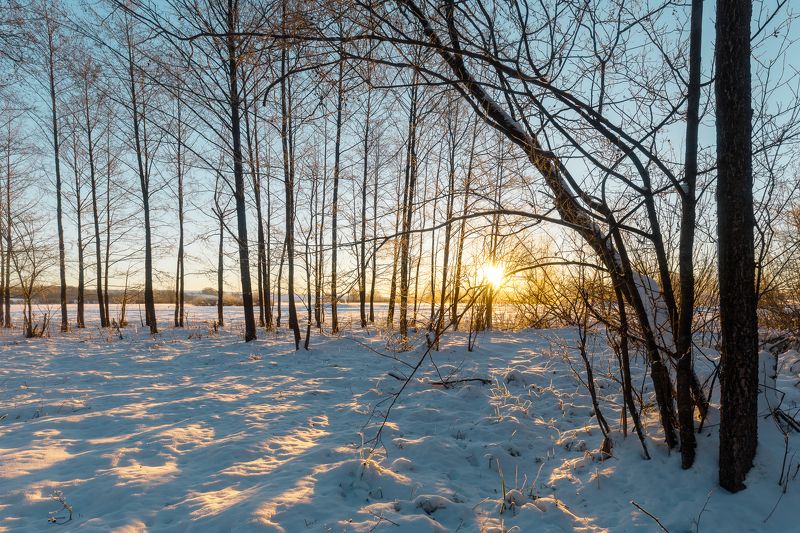 пейзаж рассвет зима снег Тени фото превью
