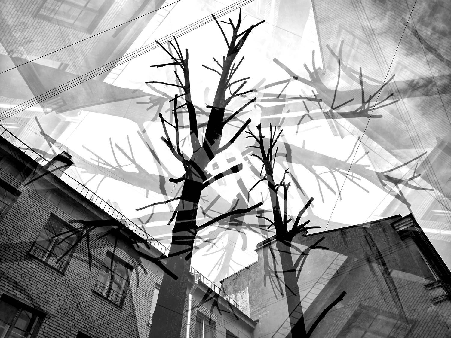 , Антон Лаба