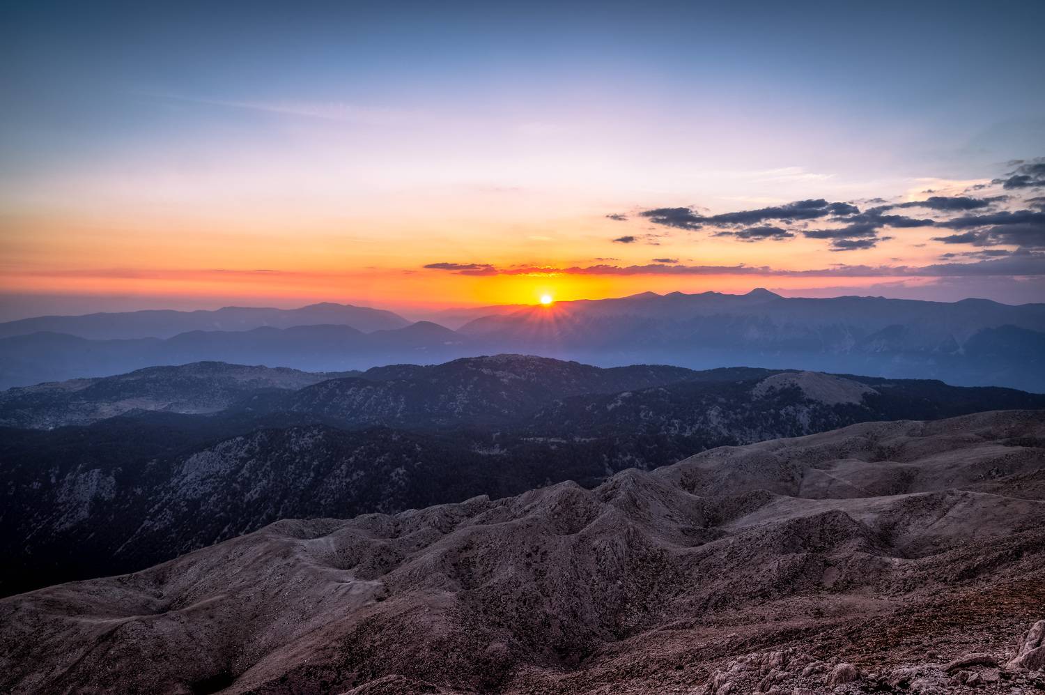 , Васильев Андрей