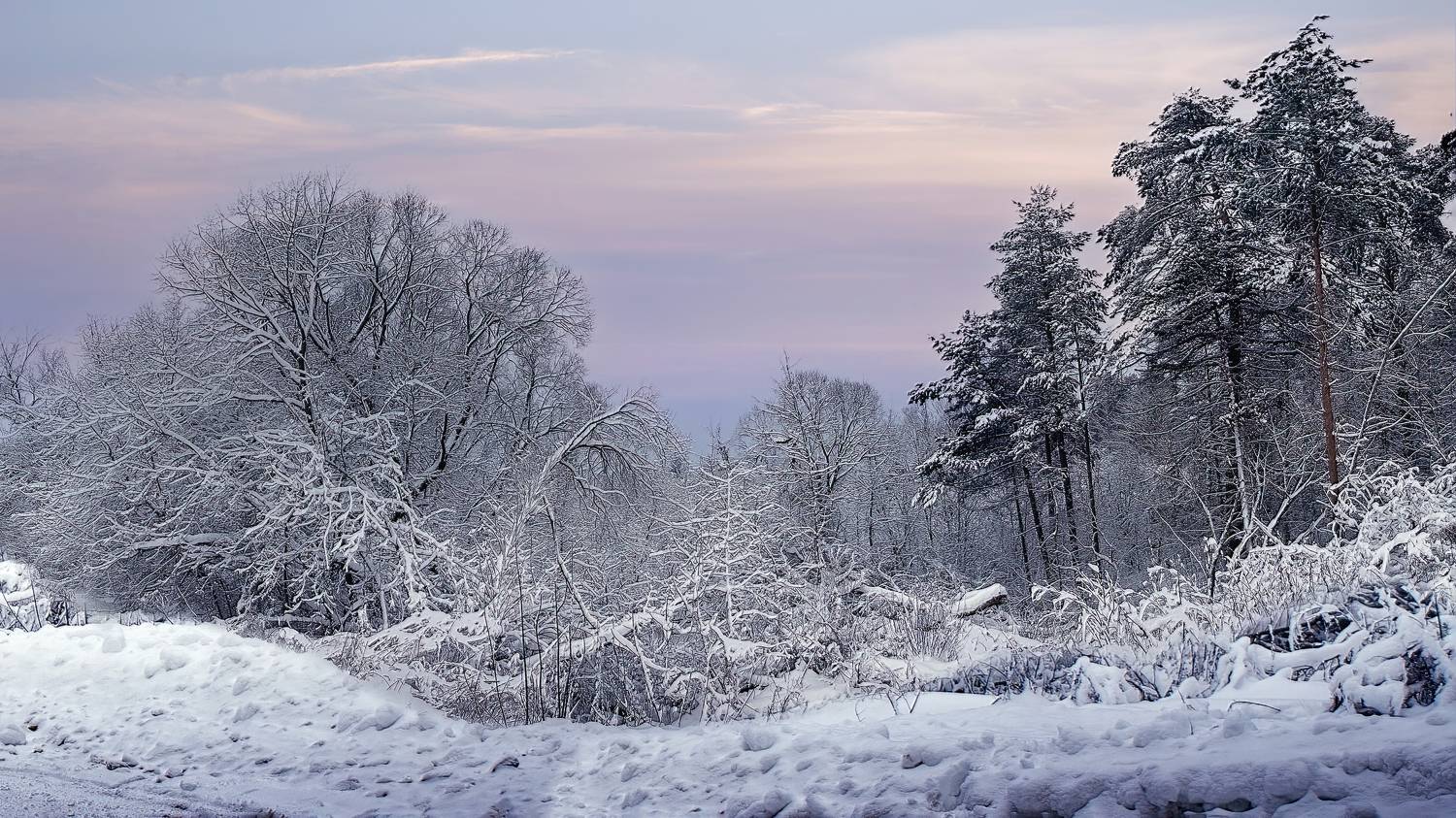 , Людмила Железнова