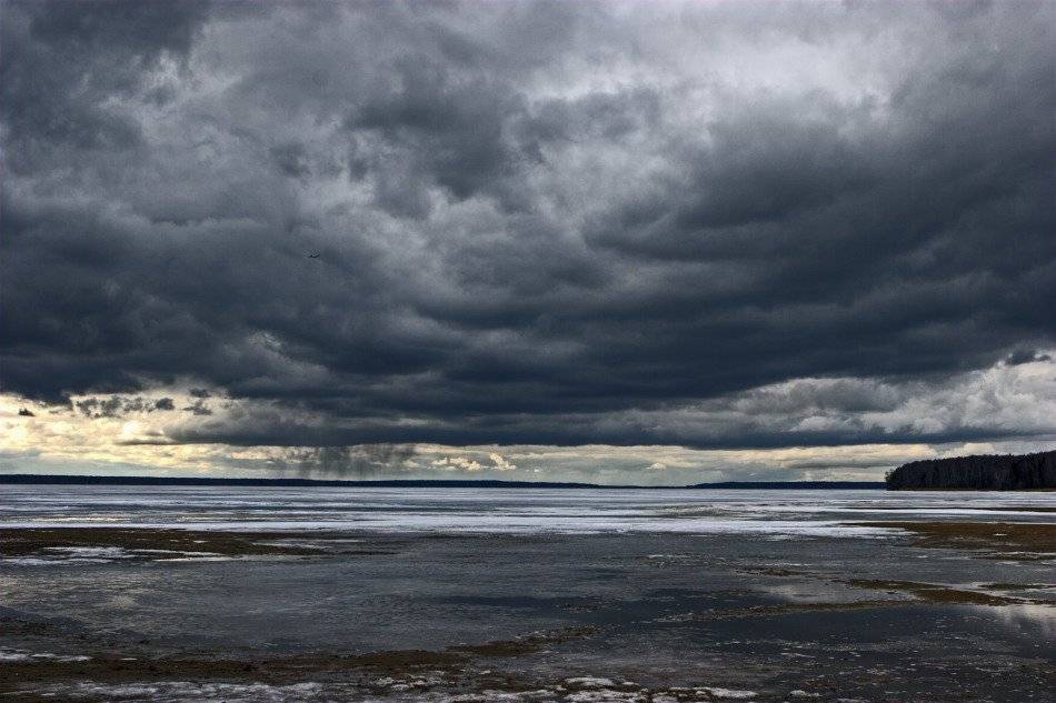 , Владимир Липецких