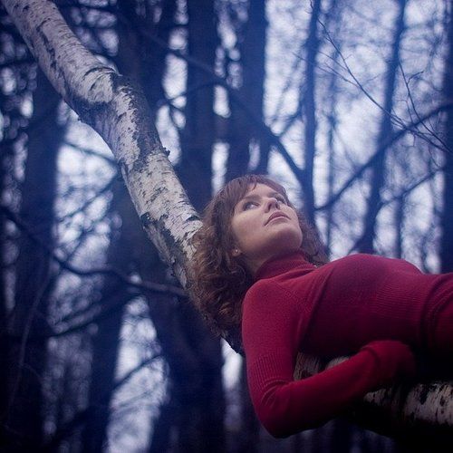 колыбель для кошки