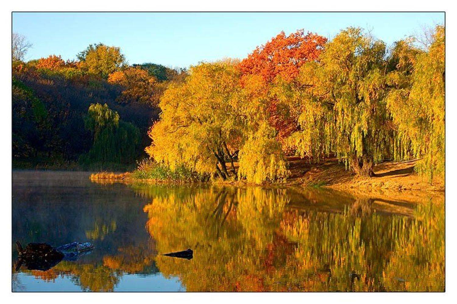 , Александр Батурский