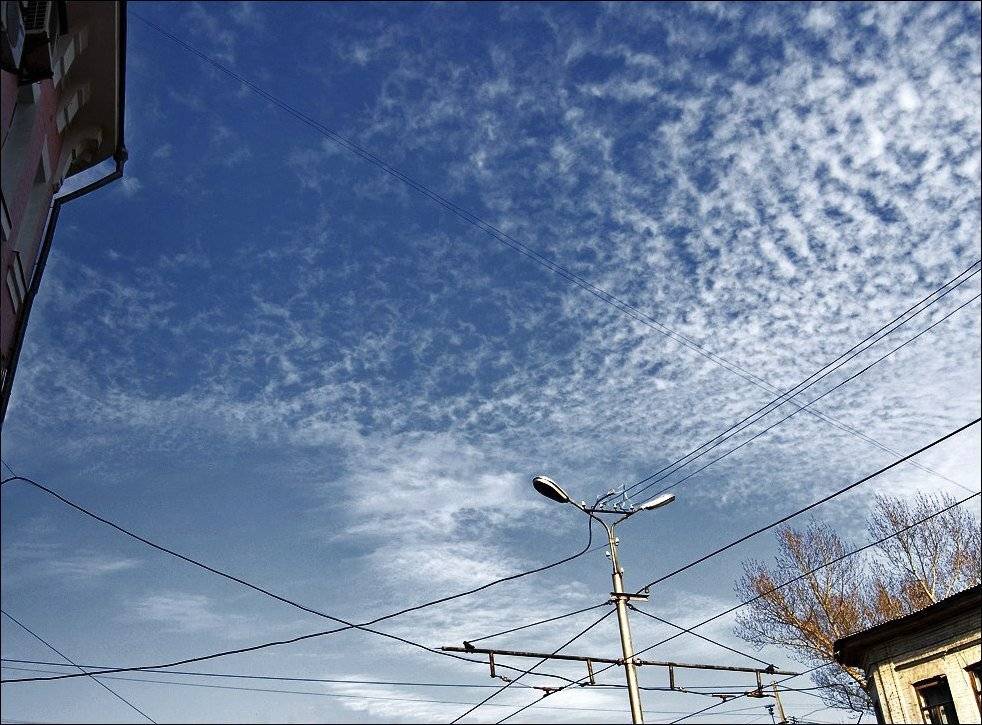 , Самолинов Андрей