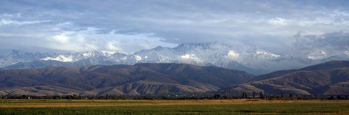 Там на небе богам....