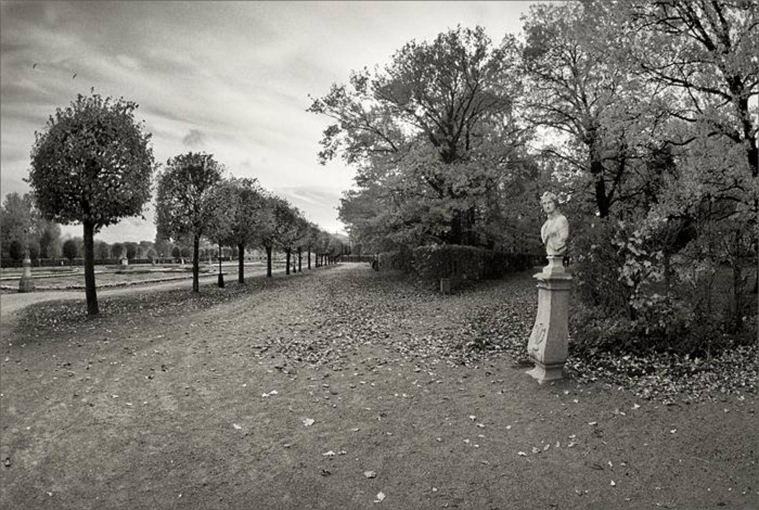 кусково, зенитар 16мм, Алексей и Оксана Самсоновы