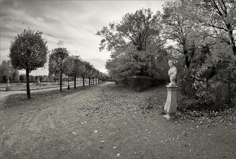 кусково, зенитар 16мм бюст справа фото превью