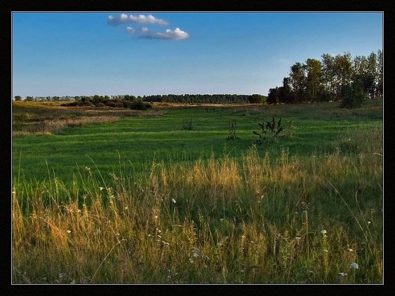 лето, утро, поле, Георгий