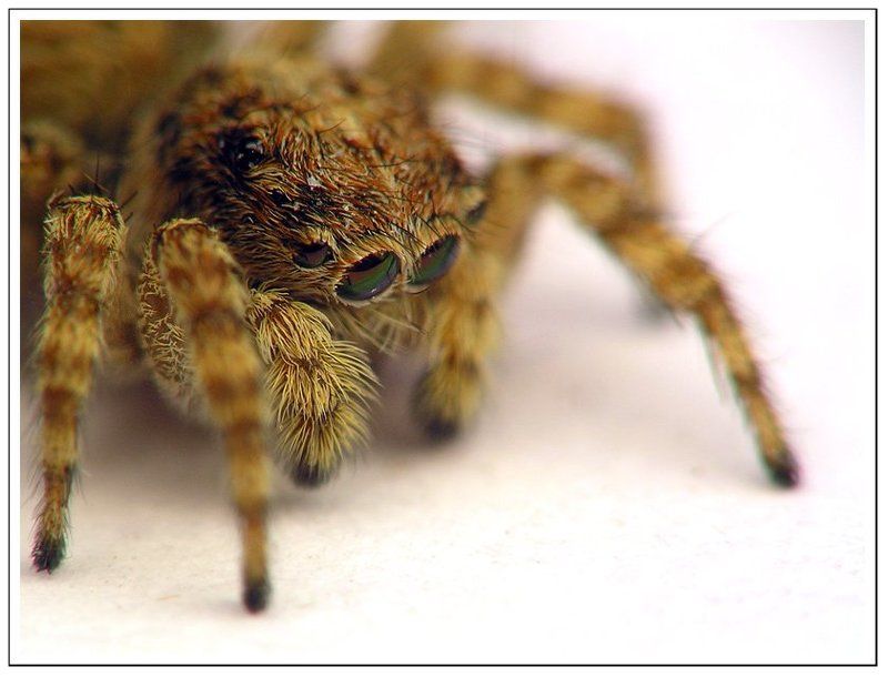 как mini Cooper 3 фото превью