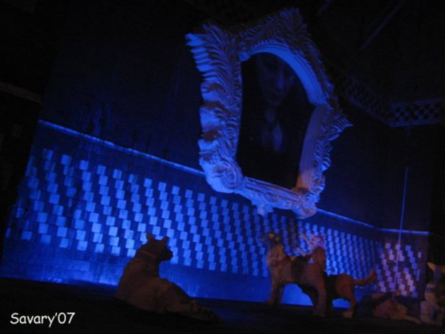 винзавод, верю, дама с собачками, Olga Koroleva