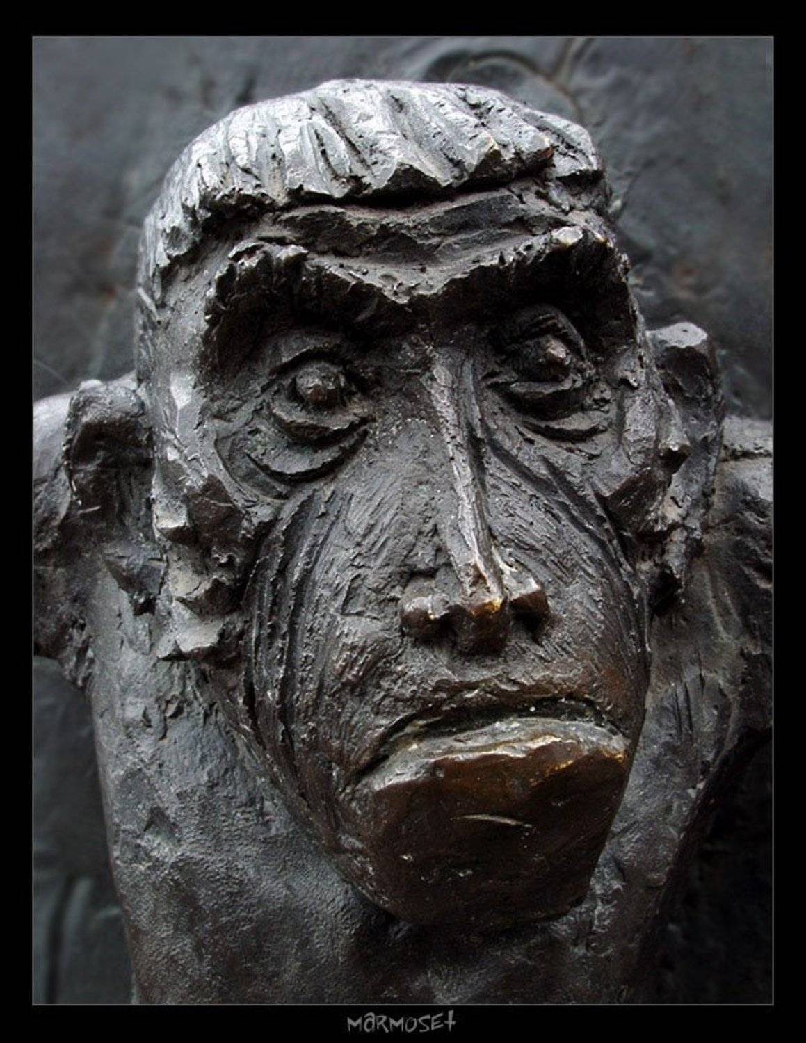 мартышка, Алексей Gu