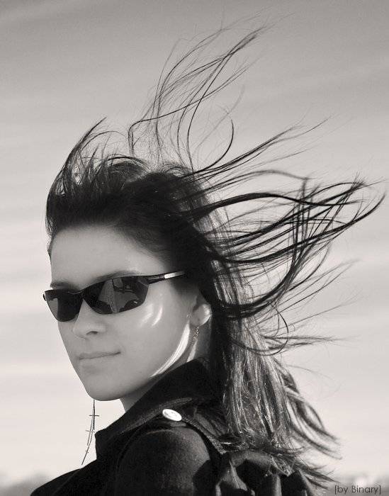 , Дмитрий Плотникофф