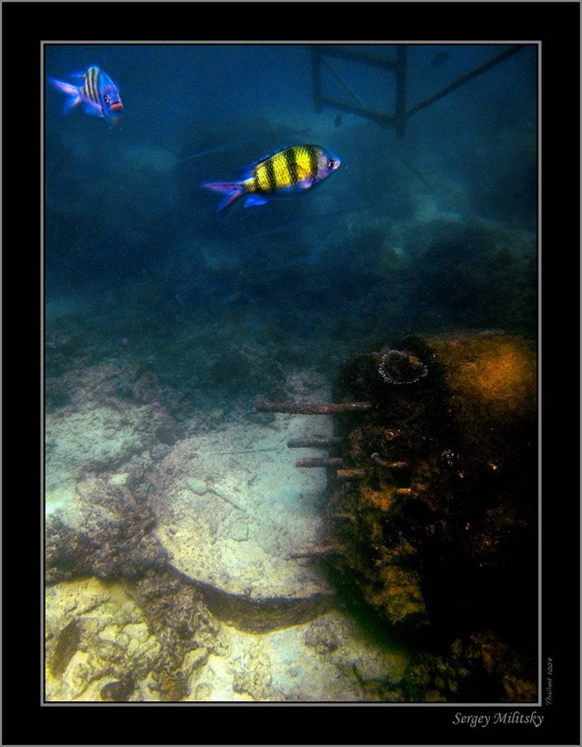 , Сергей Милицкий