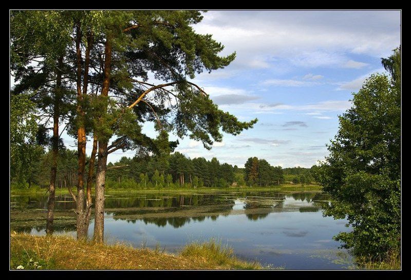 Река сосны утро тишина ~ 050 ~ фото превью