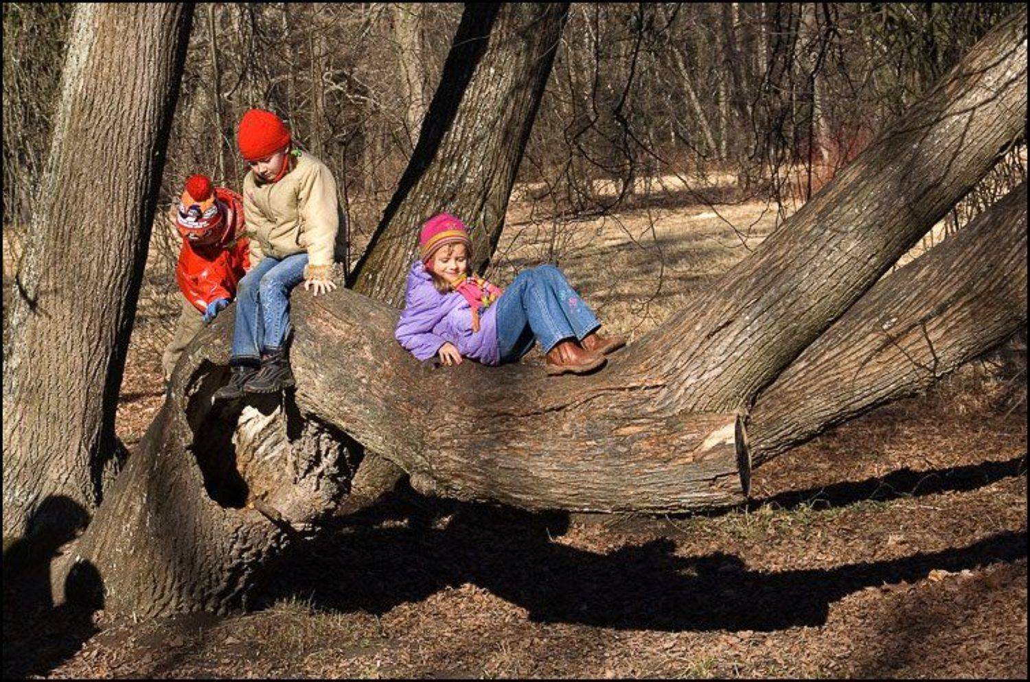 Павловск, весна, воскресенье, Братаев Юра