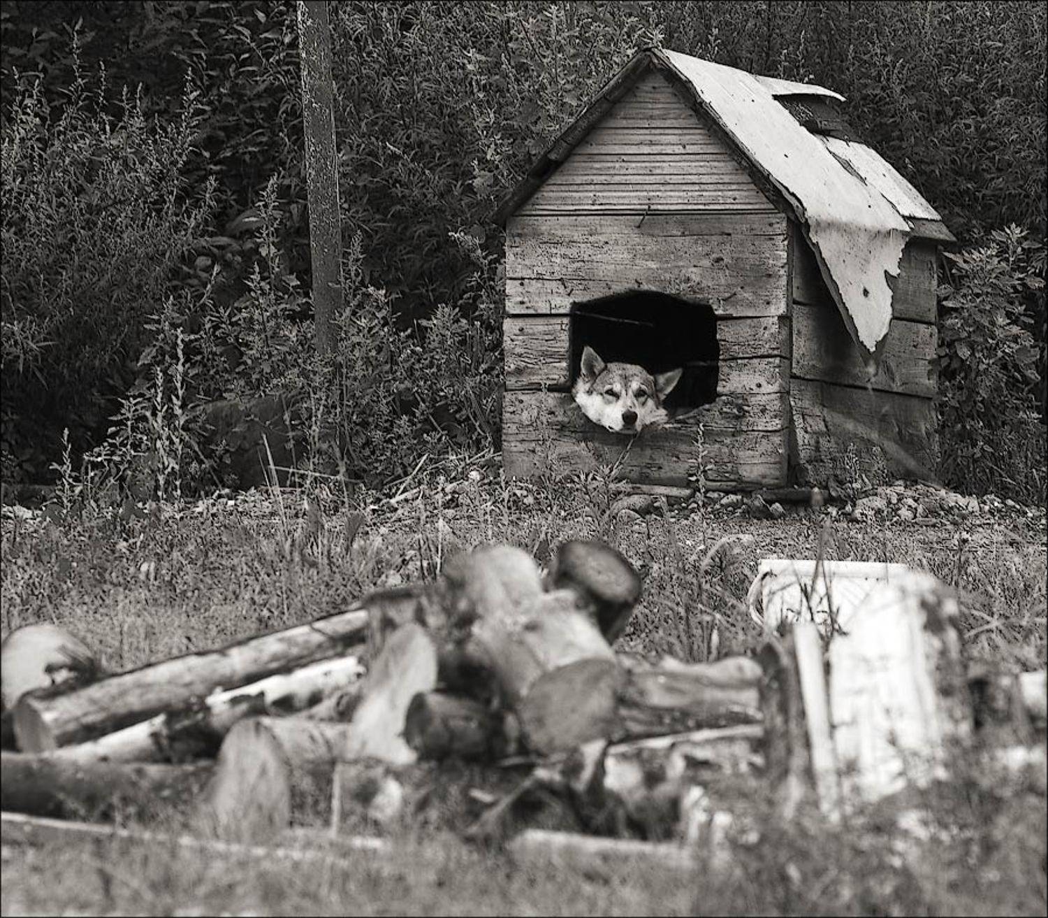 , Павел М. Цветков