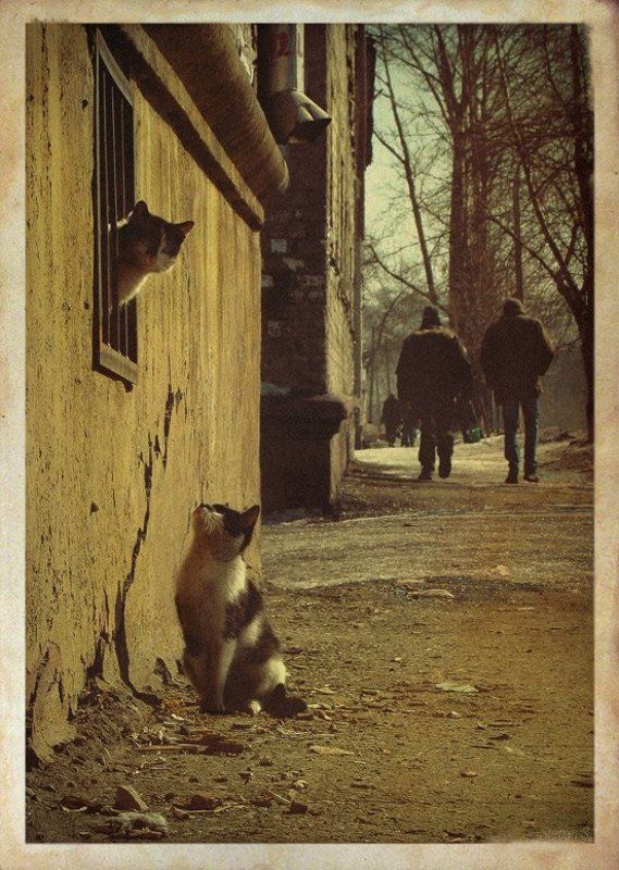 Барнаул, весна, А ты уверен? фото превью