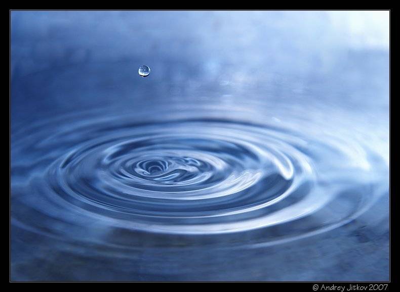 вода, капля, жизнь, photohunter, Андрей Житков