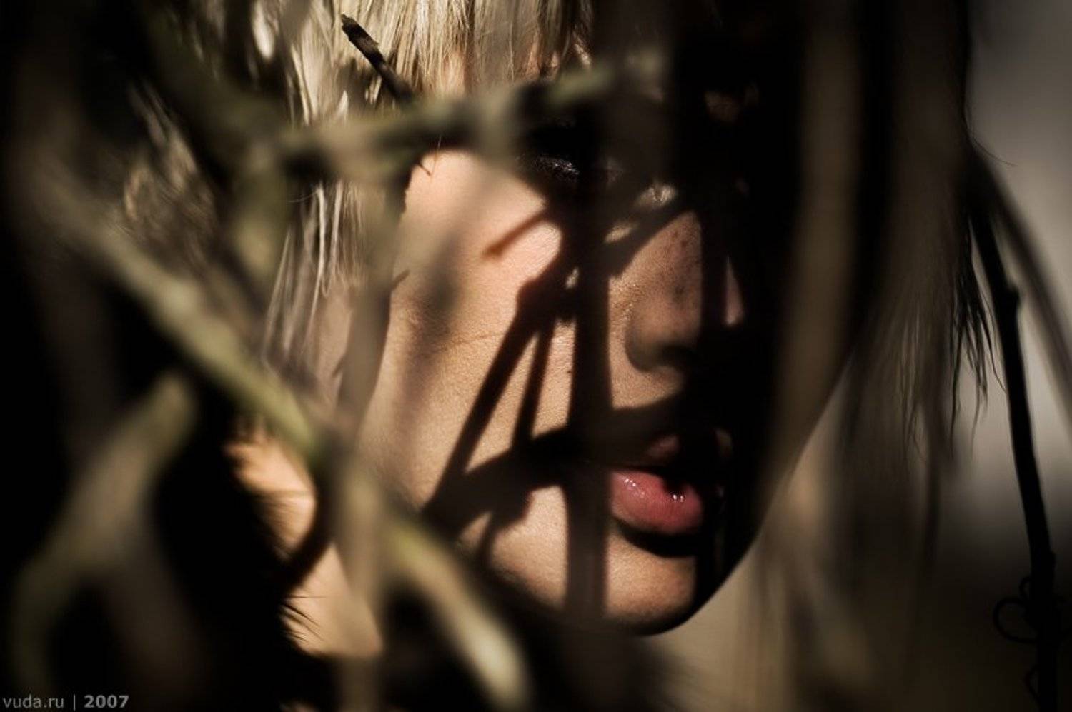 , Карасёв Петька