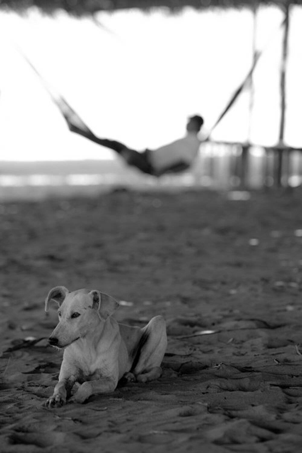 , Евдоким Еременко