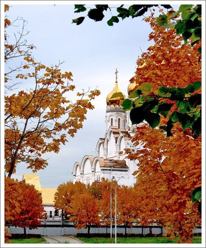 осень в Тольятти фото превью