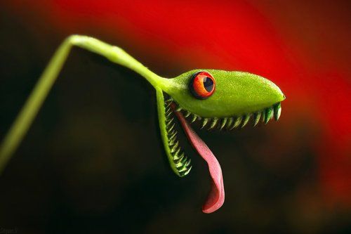 Ура, хозяин вернулся!!!