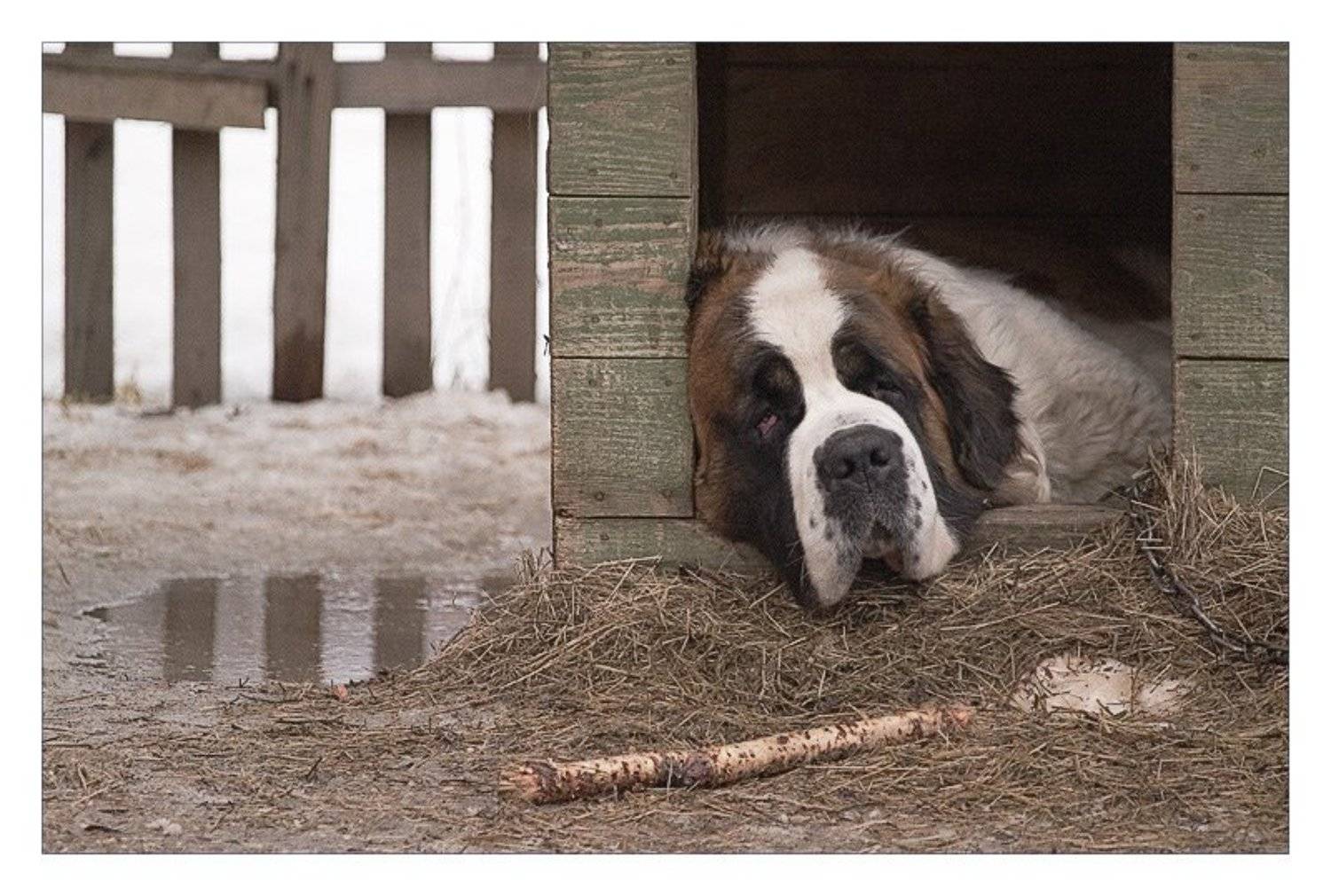 , Павел М. Цветков