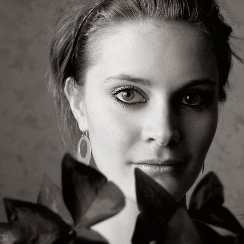 lucem, света бабочное фото превью