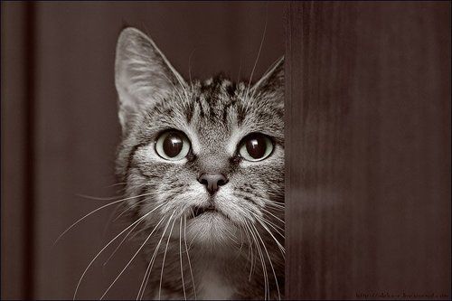 О тех кто нас ждет..