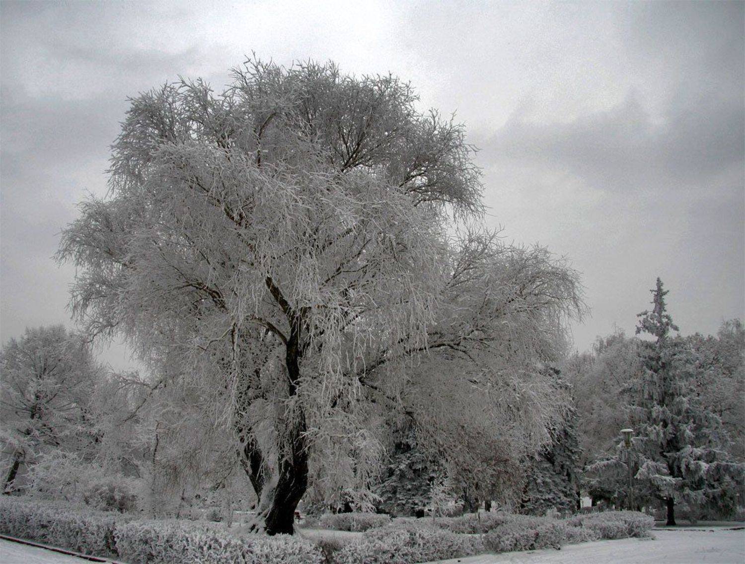 зима, самара, набережная, artboogie