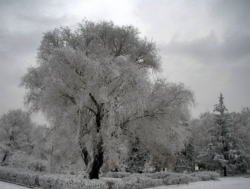 зима, самара, набережная  фото превью
