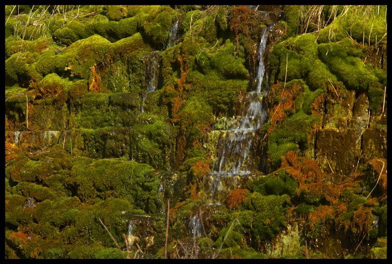 Reindeer Moss Waterfall фото превью