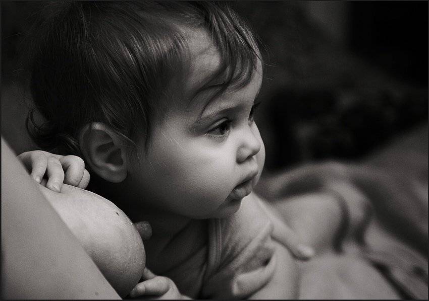 дети, вечная тема, Eland