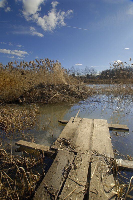 Мостик в небо... фото превью