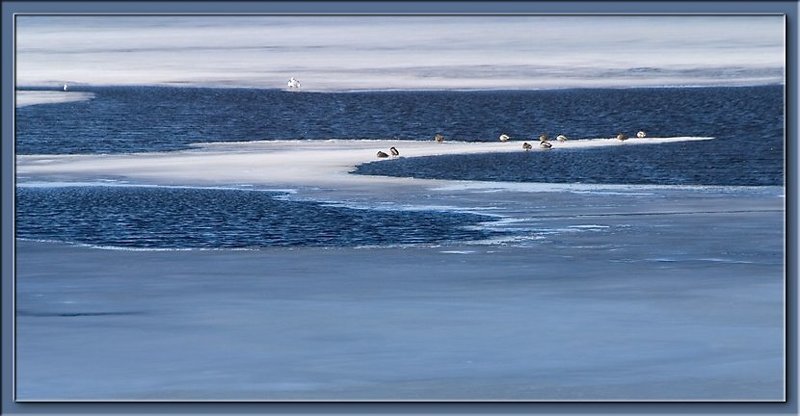 апрель Апрель (1) фото превью