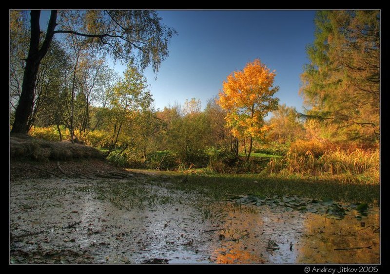моксва, осень, октябрь, вечер, болото, дерево, пейзаж, photohunter Autumn landscape #1 фото превью