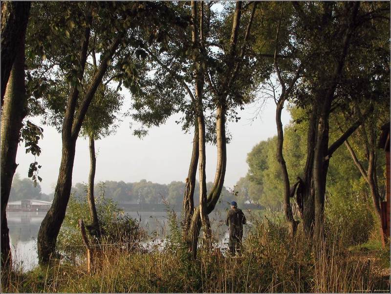 пруд, рыбалка, утро На рыбалке фото превью