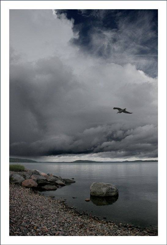 , Валерия Струнникова