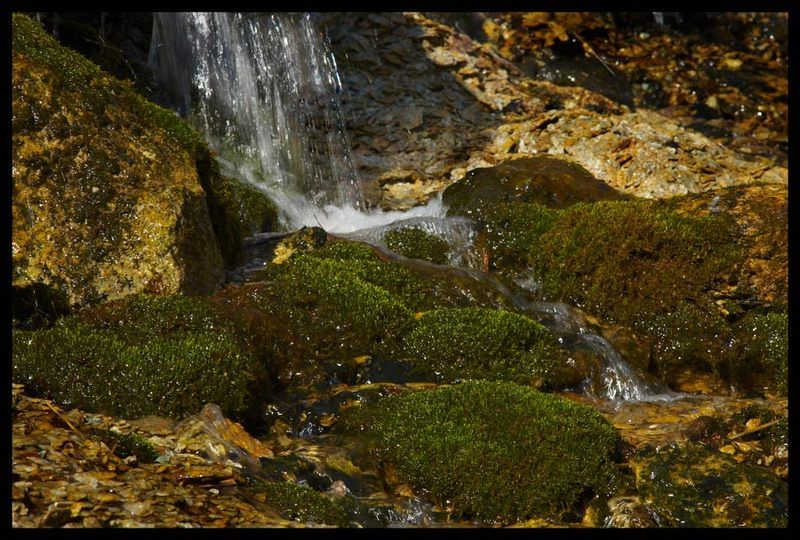 микромир фото превью