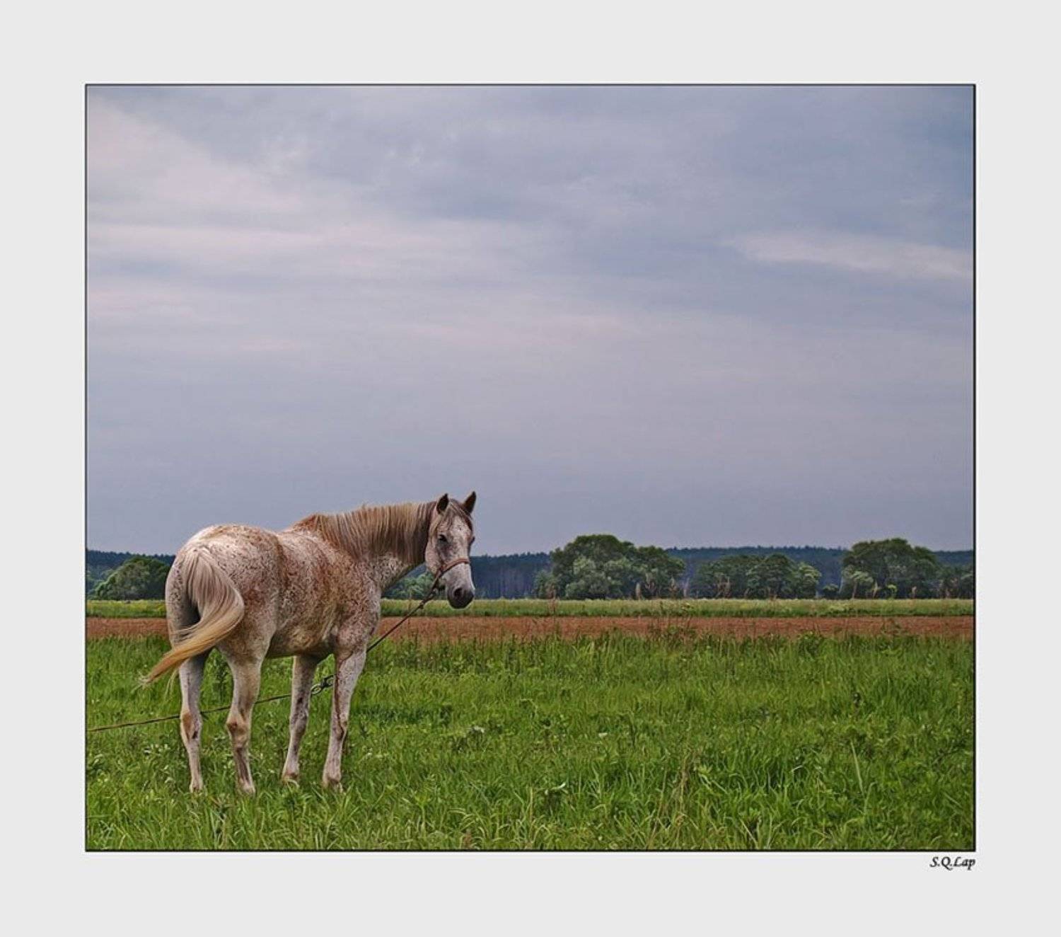 , Павел М. Цветков